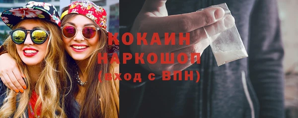 твердый Михайловск