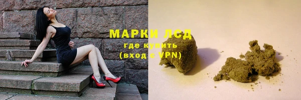 PSILOCYBIN Михайлов