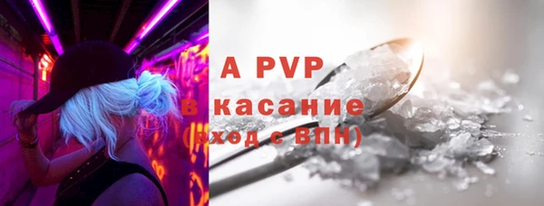 PSILOCYBIN Михайлов