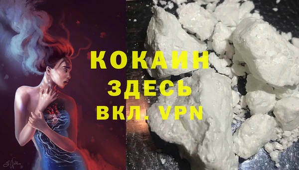 твердый Михайловск