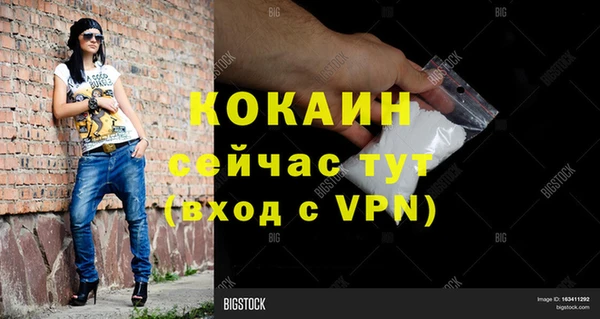 PSILOCYBIN Михайлов
