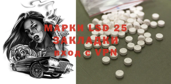PSILOCYBIN Михайлов